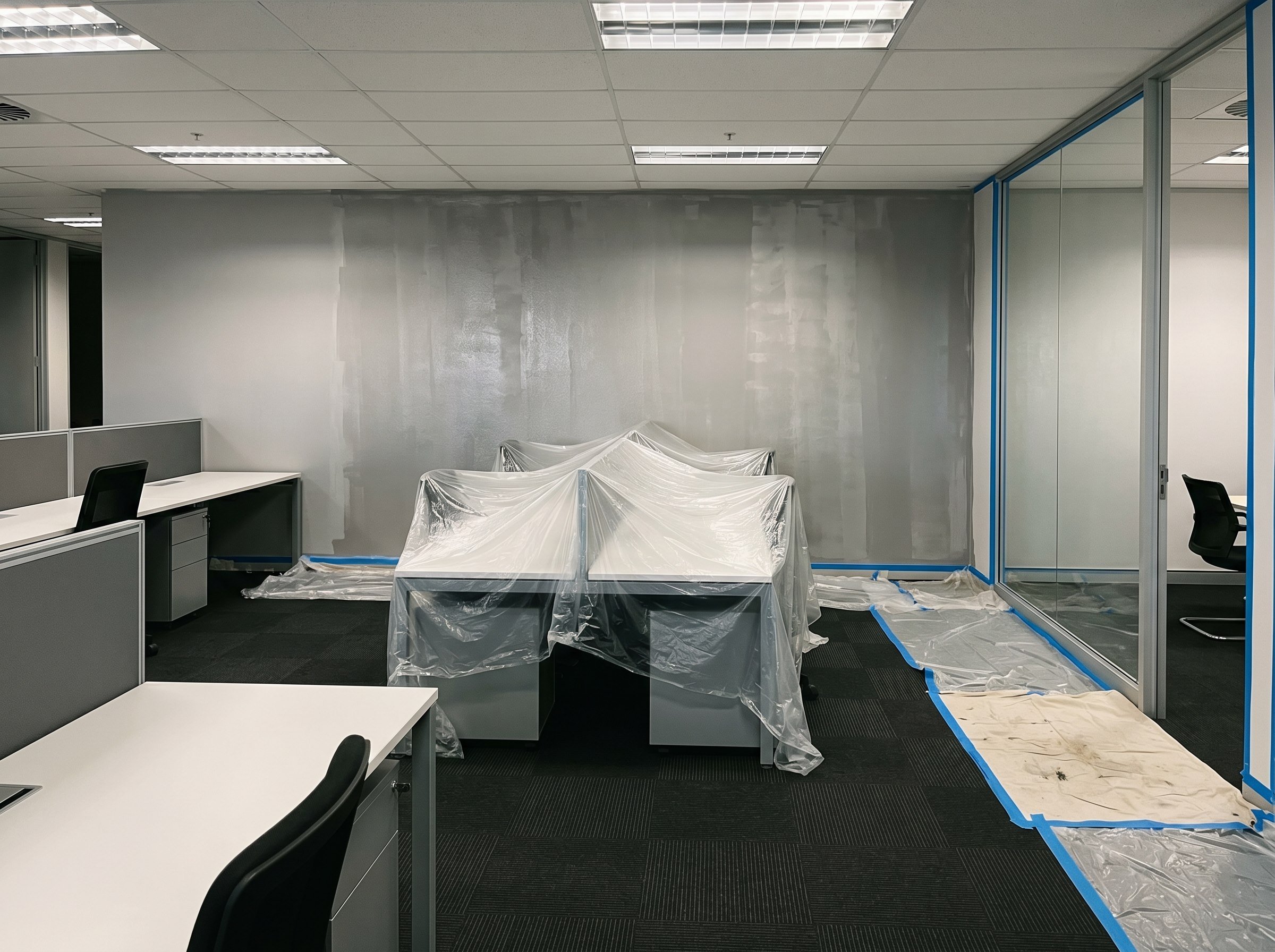Central Gauteng commercial campus repaint