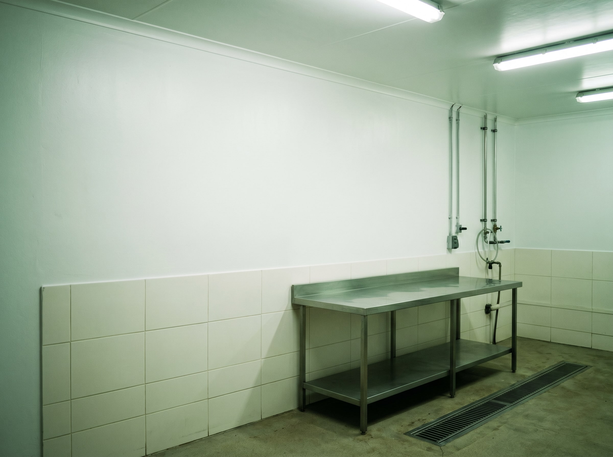 Completed low-odour interior wall repaint in a small Gauteng food production washdown area